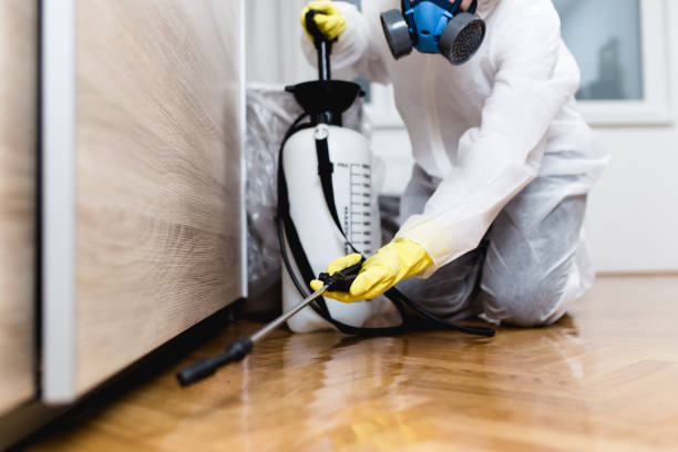 Wildlife Control Services in Elkton, MD