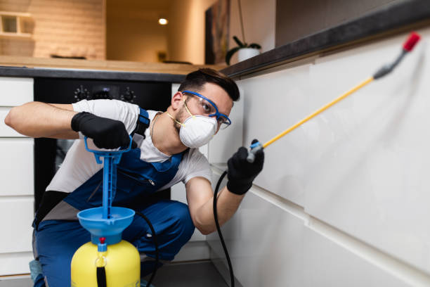 Best Cockroach Control Services  in Elkton, MD