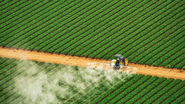 Best Commercial Pest Control Services  in Elkton, MD