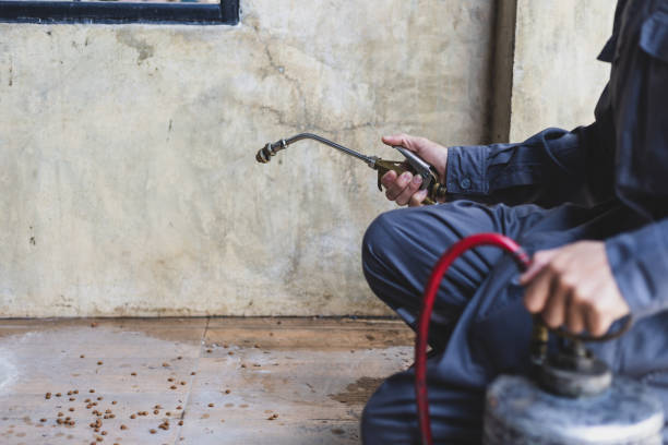 Best Rat Extermination Near Me  in Elkton, MD