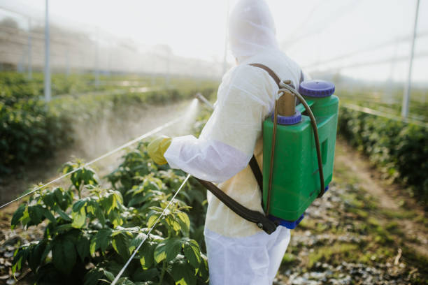 Reliable Elkton, MD Pest Control Solutions